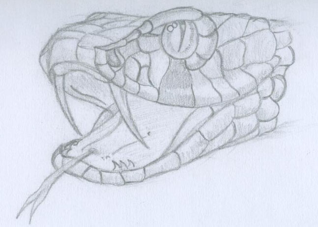 647x462 Snake Head By Asyrill - Snake Head Sketch