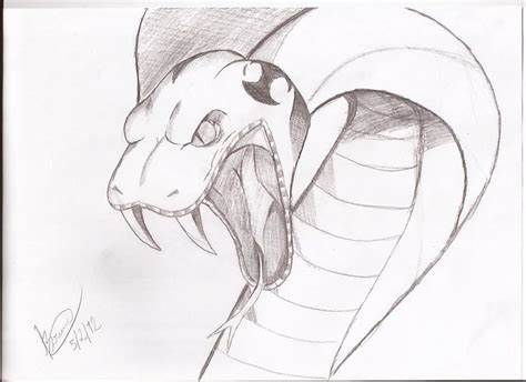 Anaconda Snake Head Drawing