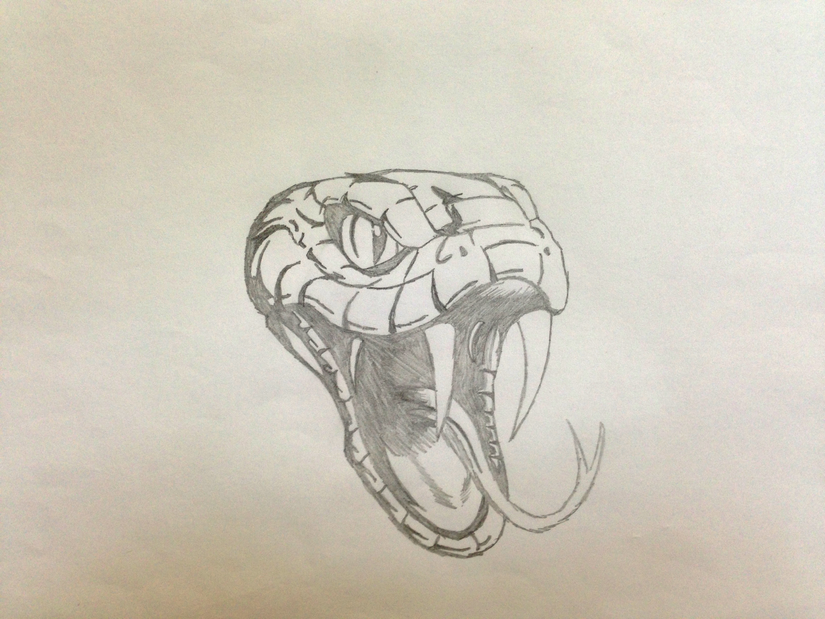3264x2448 Animal Head Sketching Manish Basantani - Snake Head Sketch