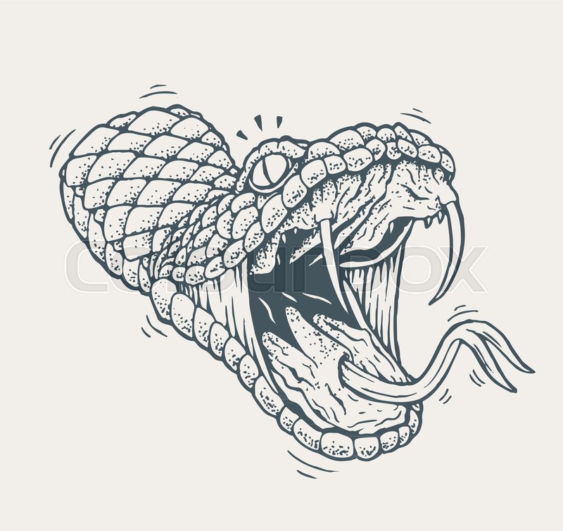 Snake Head Sketch at PaintingValley.com | Explore collection of Snake