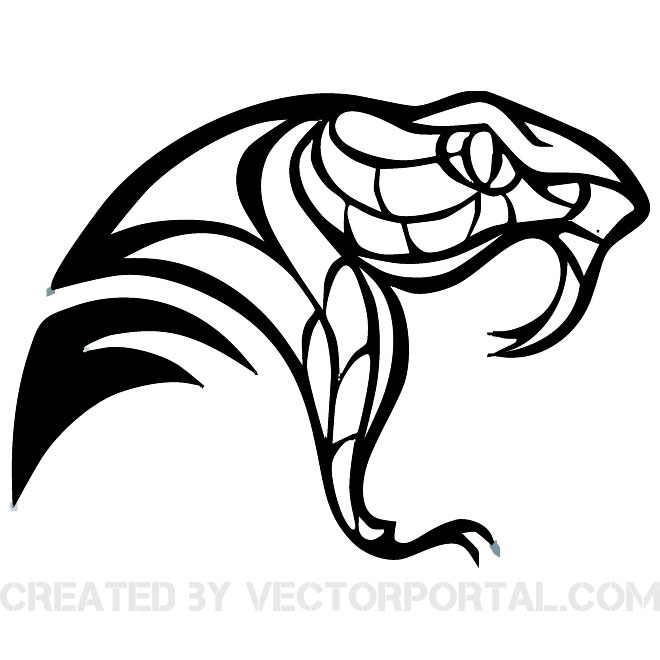 660x660 Cobra Snake Head Drawings - Snake Head Sketch