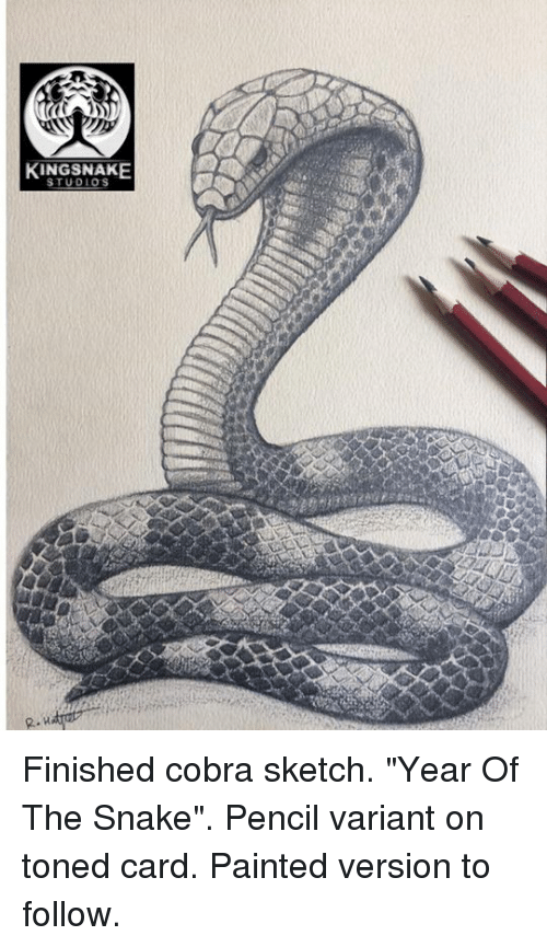 500x865 Kingsnake Studios U Finished Cobra Sketch Year Of The Snake Pencil - Snake Pencil Sketch