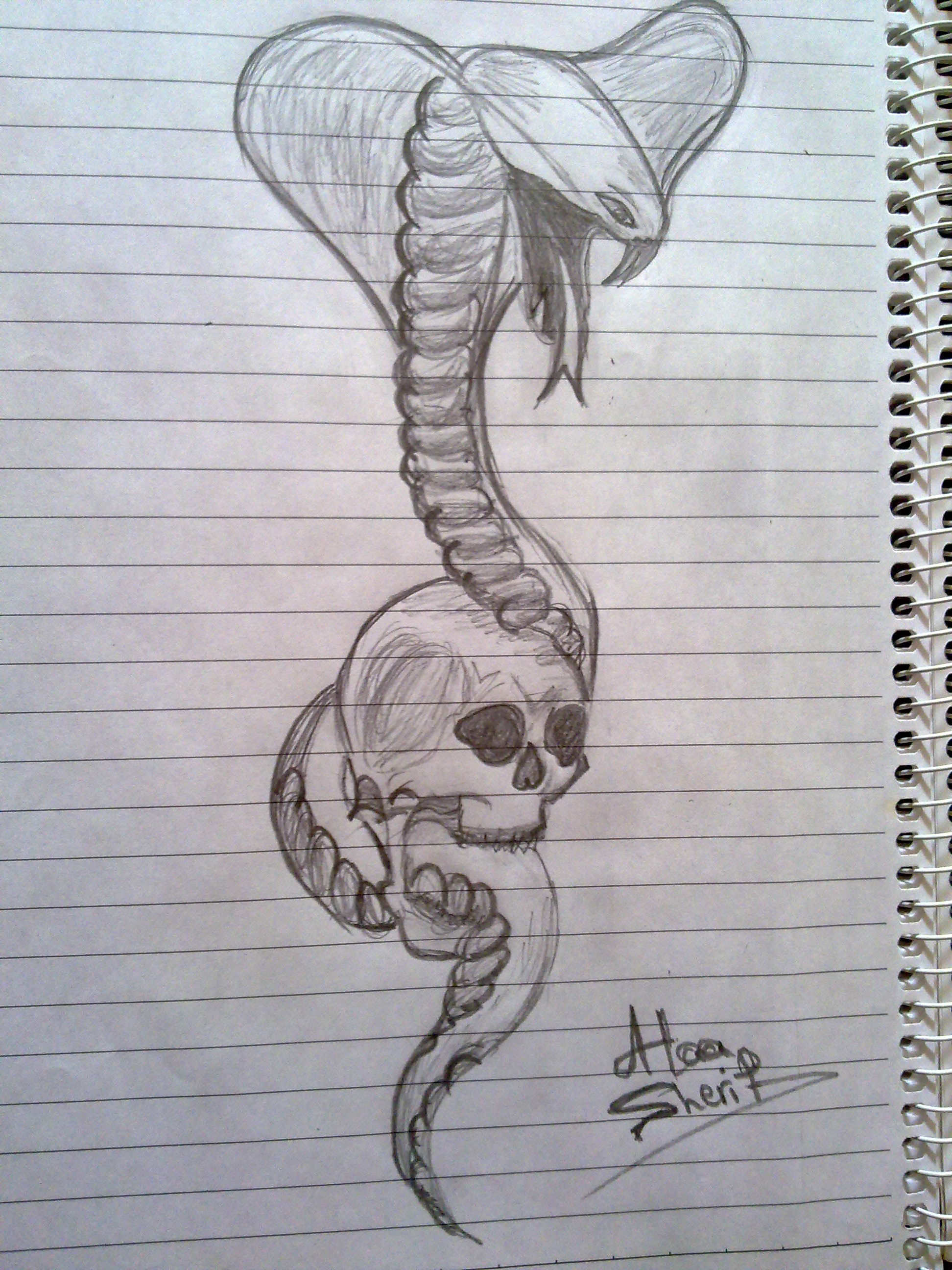 1944x2592 Pencil Drawing Of A Snake Snake Pencil Drawing At Getdrawings - Snake Pencil Sketch