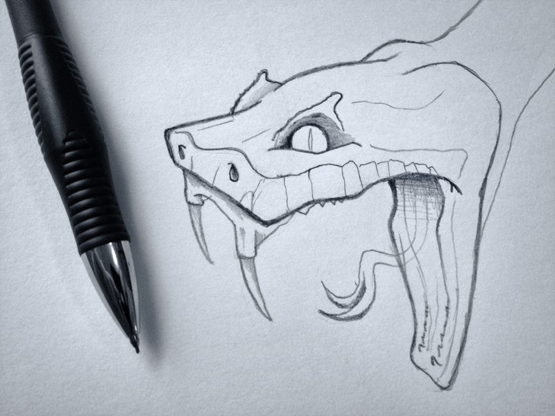 800x600 Snake Head Sketch By Zack Smith - Snake Pencil Sketch