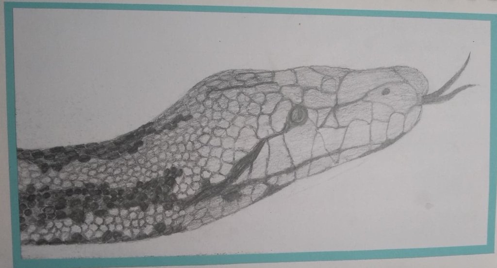 1024x553 Snake Sketch (Pencil) By Blueprime - Snake Pencil Sketch
