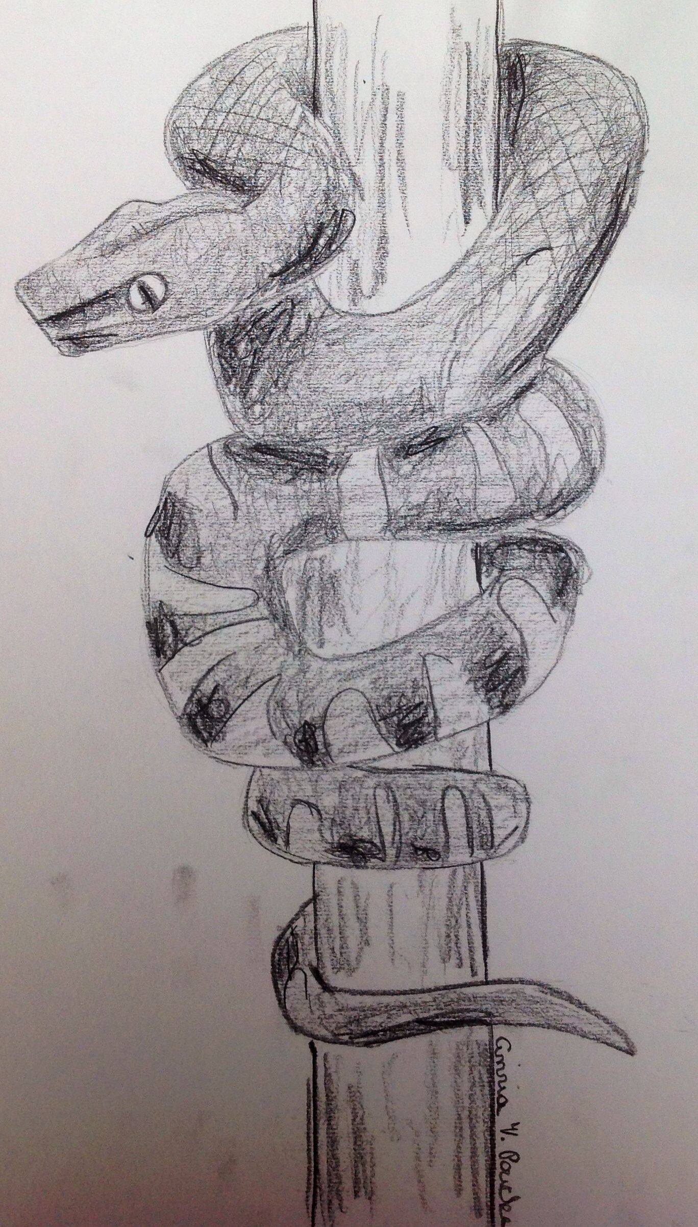 1368x2404 Snake (Pencil Drawing) Made By Cinziartist Drawing - Snake Pencil Sketch