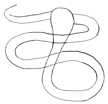 350x338 How To Draw A Snake - Snake Sketch