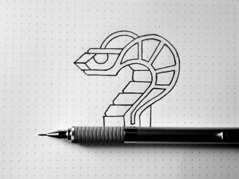 800x600 Snake Sketch By Stevan Rodic - Snake Sketch