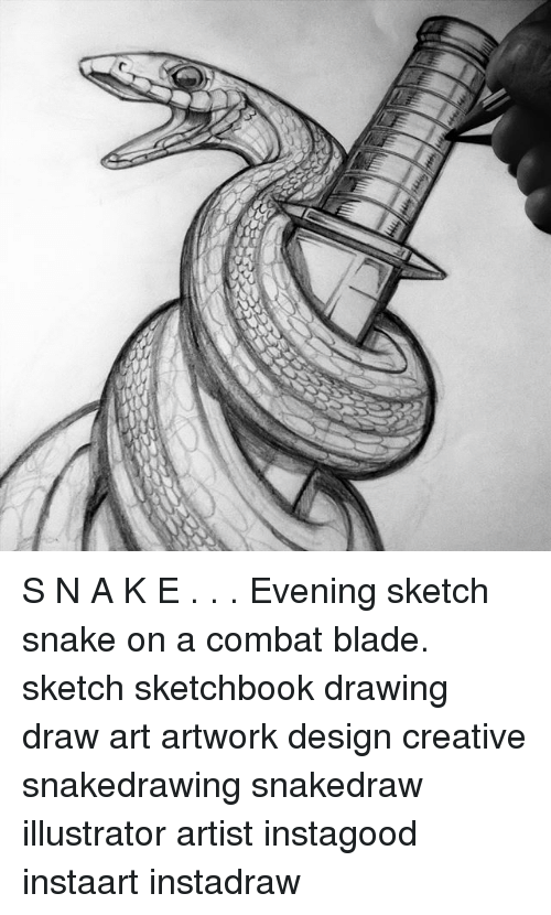 500x830 S N A K E Evening Sketch Snake On A Combat Blade Sketch Sketchbook - Snake Sketch Images