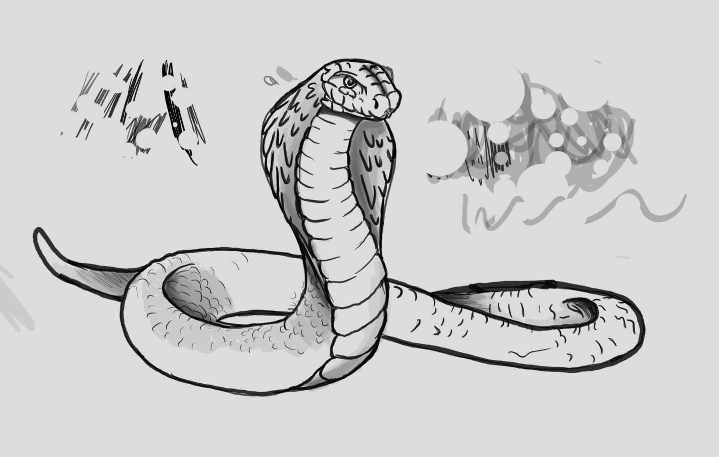 1440x917 Snake Body - Snake Sketch Images