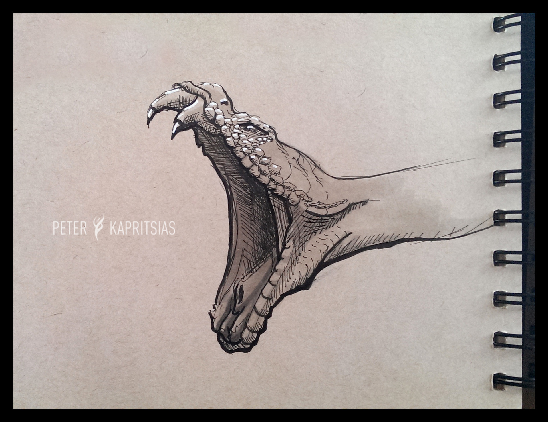 1920x1481 Artstation - Snake Sketch Images