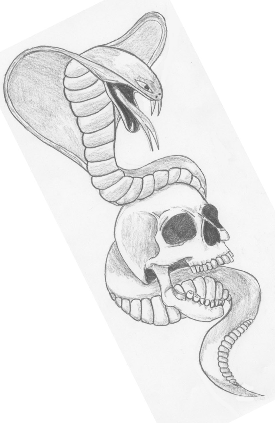 960x1478 Latest Snake Tattoo Designs - Snake Tattoo Sketch