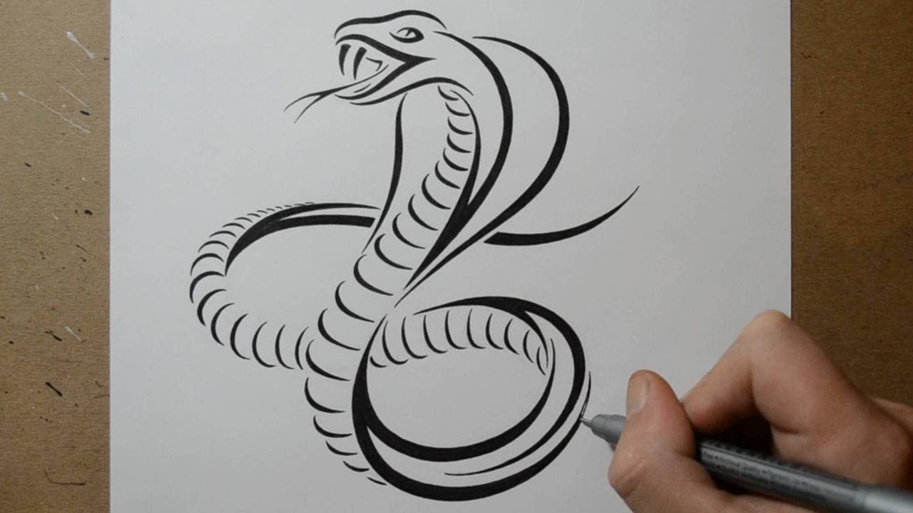 1280x720 How To Draw A Cobra Snake - Snake Tattoo Sketch
