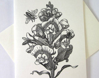 340x270 Paper Snapdragon Etsy - Snapdragon Flower Sketch