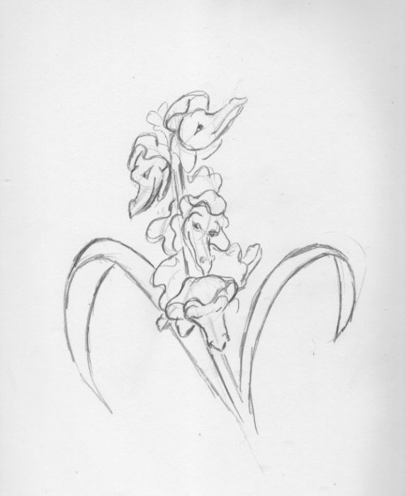 573x700 Sketch Fest! - Snapdragon Flower Sketch