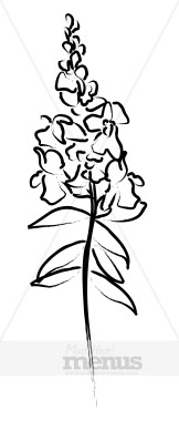 162x388 Snapdragon Flower Clipart Chinese Restaurant Clipart - Snapdragon Flower Sketch