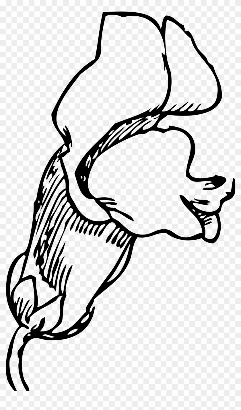 840x1430 Snapdragon Flower Tattoo - Snapdragon Flower Sketch