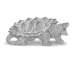 Snapping Turtle Sketch at PaintingValley.com | Explore collection of ...