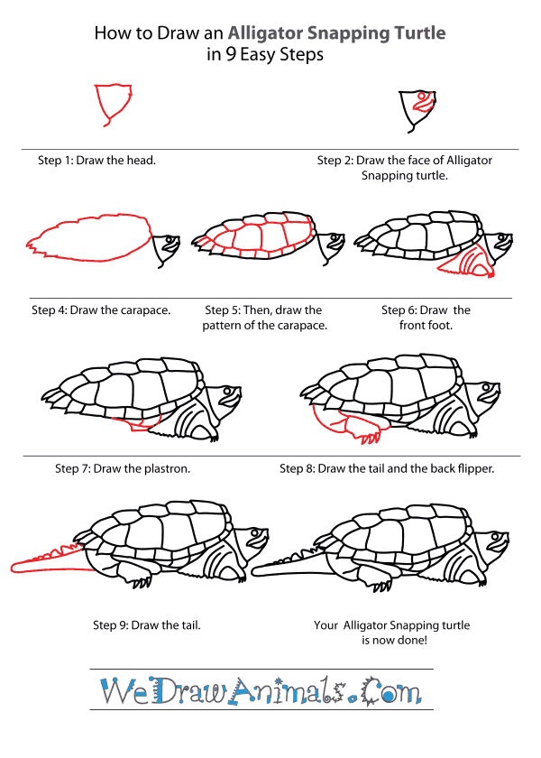 600x840 How To Draw An Alligator Snapping Turtle - Snapping Turtle Sketch