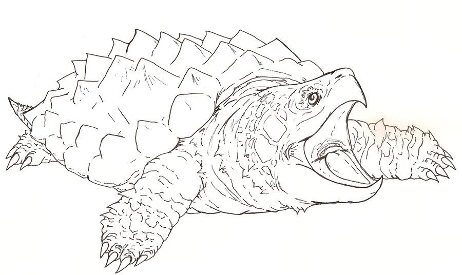900x536 Snapping Dragon Turtle Outline By ~fachhillis - Snapping Turtle Sketch