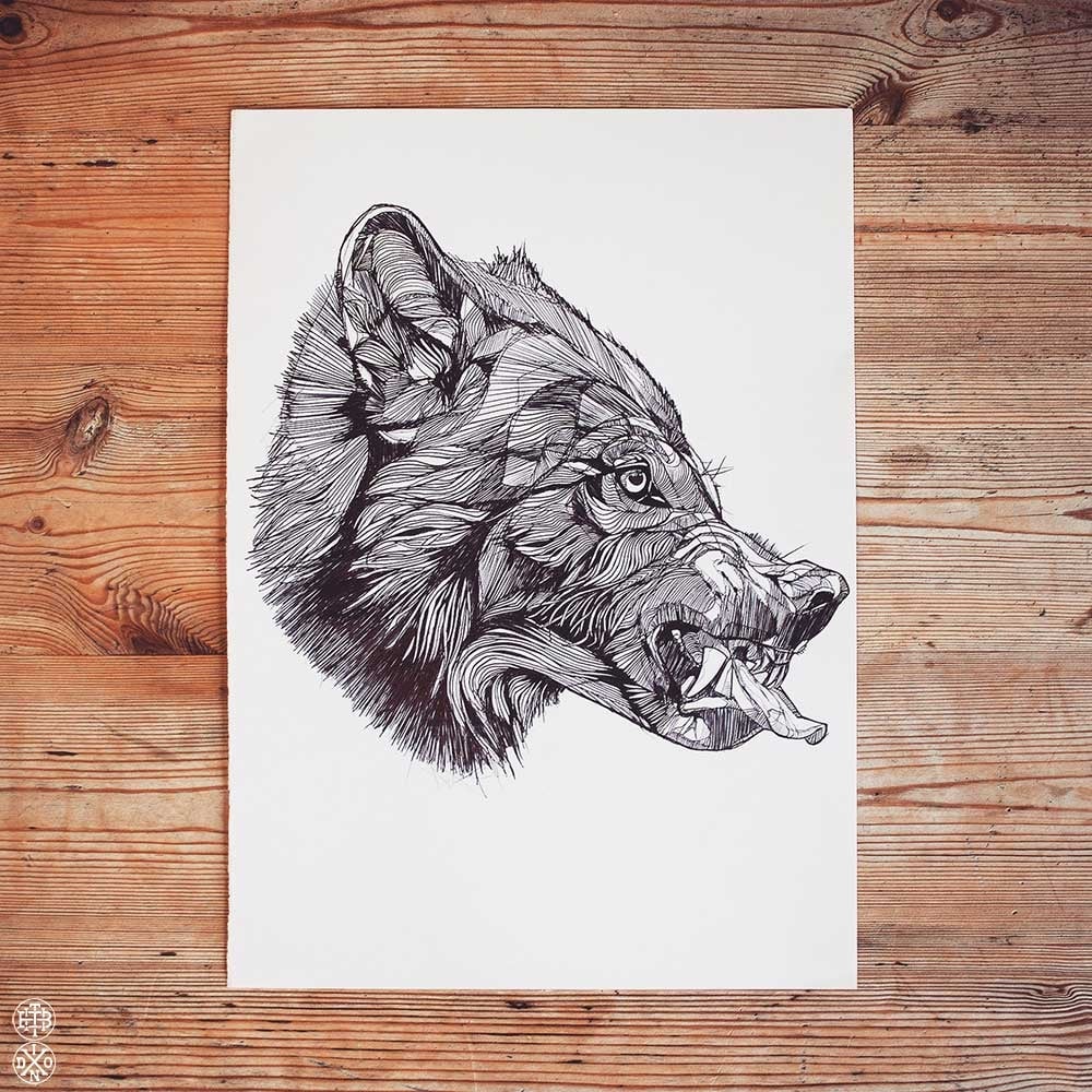 1000x1000 Luke Dixon - Snarling Wolf Sketch