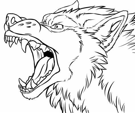Snarling Wolf Sketch at PaintingValley.com | Explore collection of ...