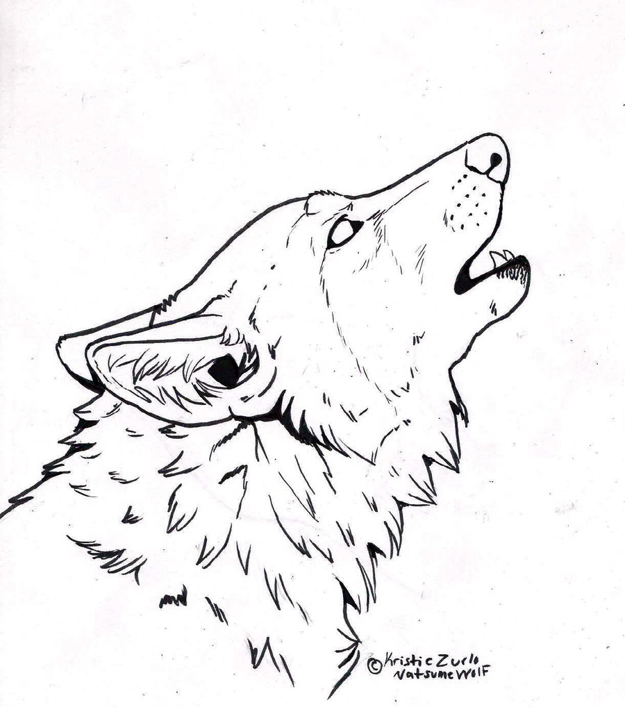 900x1018 Drawn Werewolf Snarling Wolf - Snarling Wolf Sketch