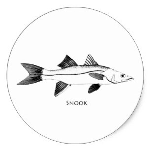 307x307 Snook Fishing Gifts On Zazzle - Snook Sketch
