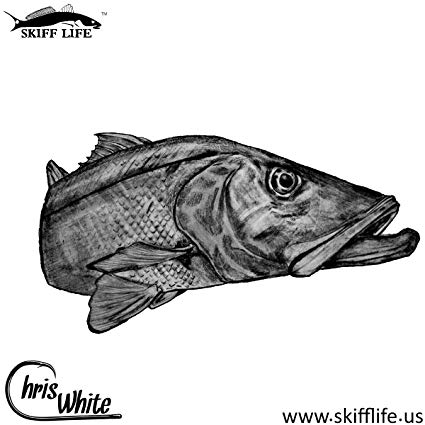 425x425 Snook Fishing Decal Fish Sticker Chris White Art - Snook Sketch