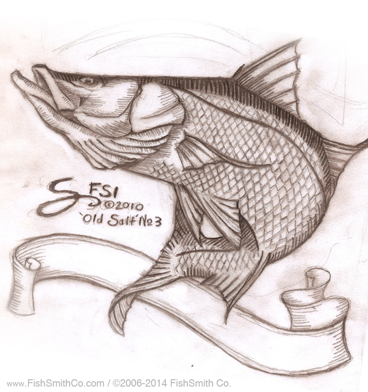 750x800 Artwork Portfolio Fishsmith Co. - Snook Sketch