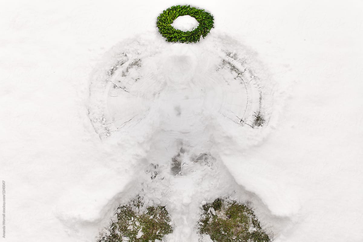 1200x800 A Snow Angel With Grass Peeking Through And An Evergreen Boxwood - Snow Angel Sketch