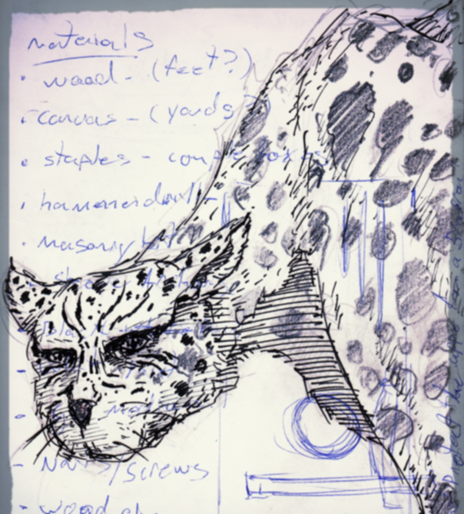 1505x1667 Sketch + Thoughts Snow Leopard Riley Tenove - Snow Leopard Sketch