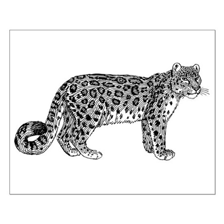 460x460 Snow Leopard Posters - Snow Leopard Sketch