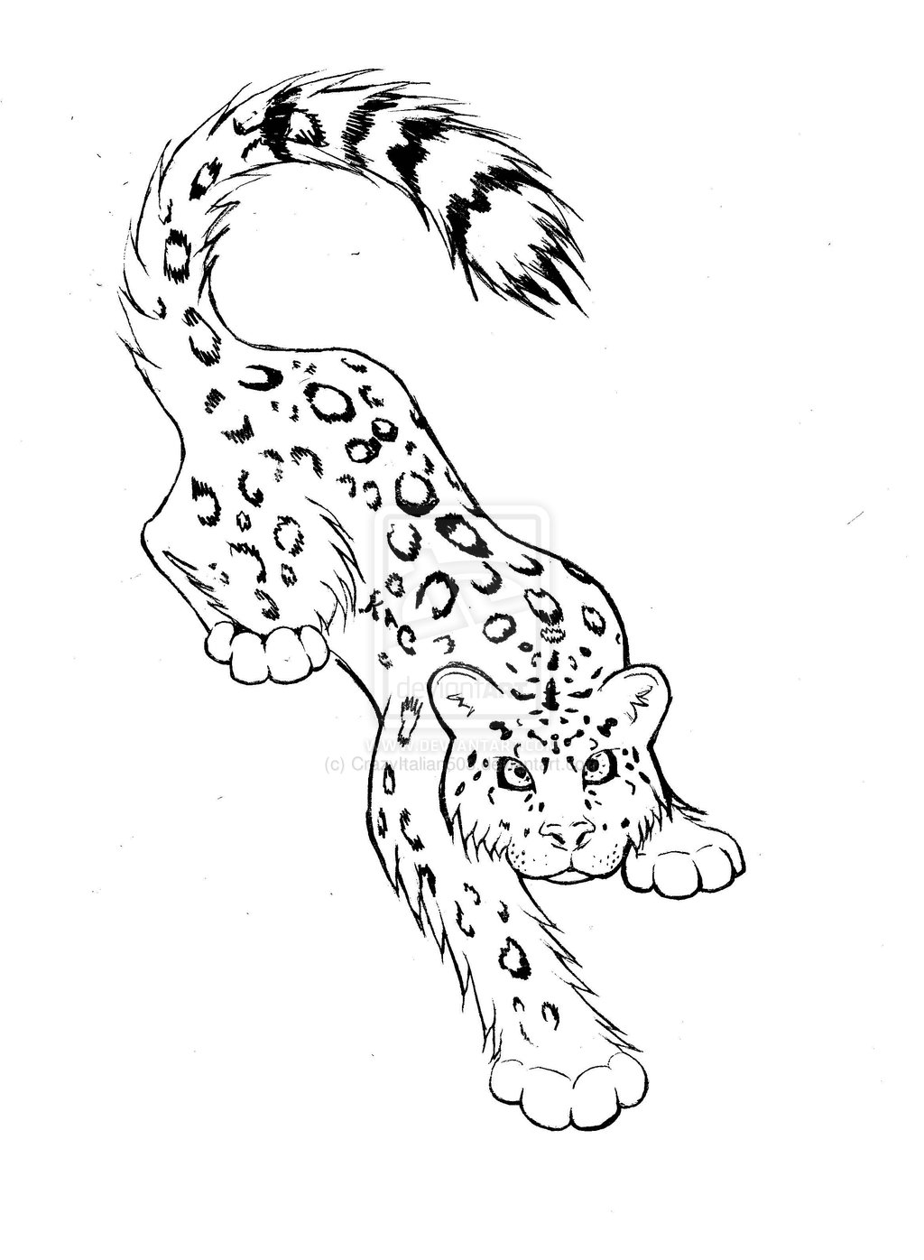 1024x1396 Drawn Snow Leopard Simple - Snow Leopard Sketch