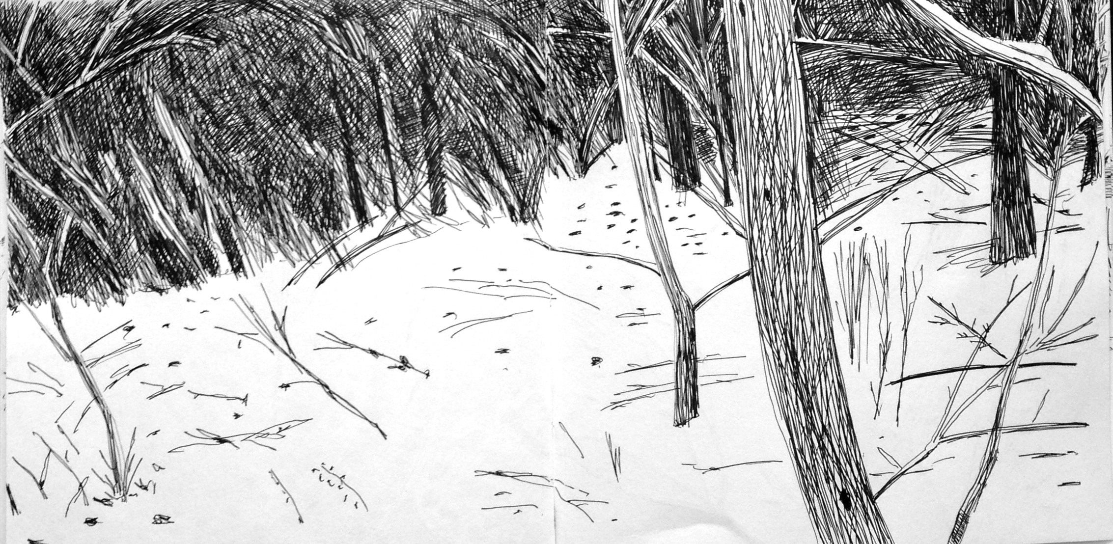 2266x1108 Snow Day In Jaw Ja Craig Ford Fine Art - Snow Sketch