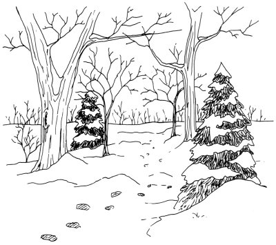 400x355 How To Draw A Woodland Trail Howstuffworks - Snow Tree Sketch
