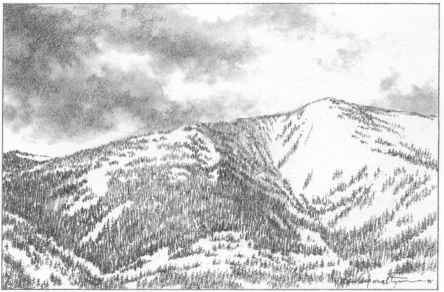 444x292 Mountains With Snow And Trees - Snow Tree Sketch