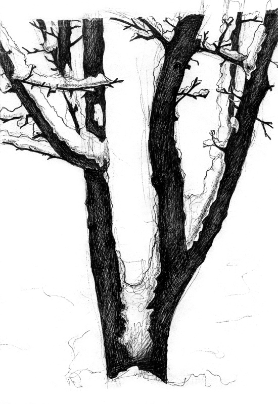 550x800 A Snow Covered Tree By Rezokaishauri - Snow Tree Sketch