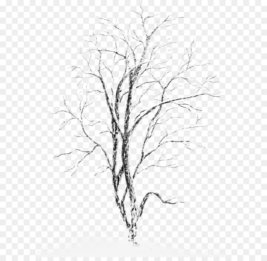 900x880 Snow Tree Stock Photography - Snow Tree Sketch