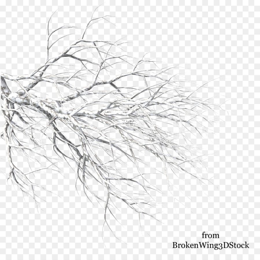900x900 Tree Winter Branch Drawing - Snow Tree Sketch
