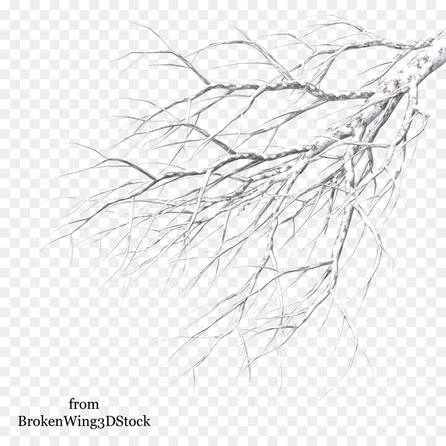 900x900 Tree Winter Branch Drawing - Snow Tree Sketch