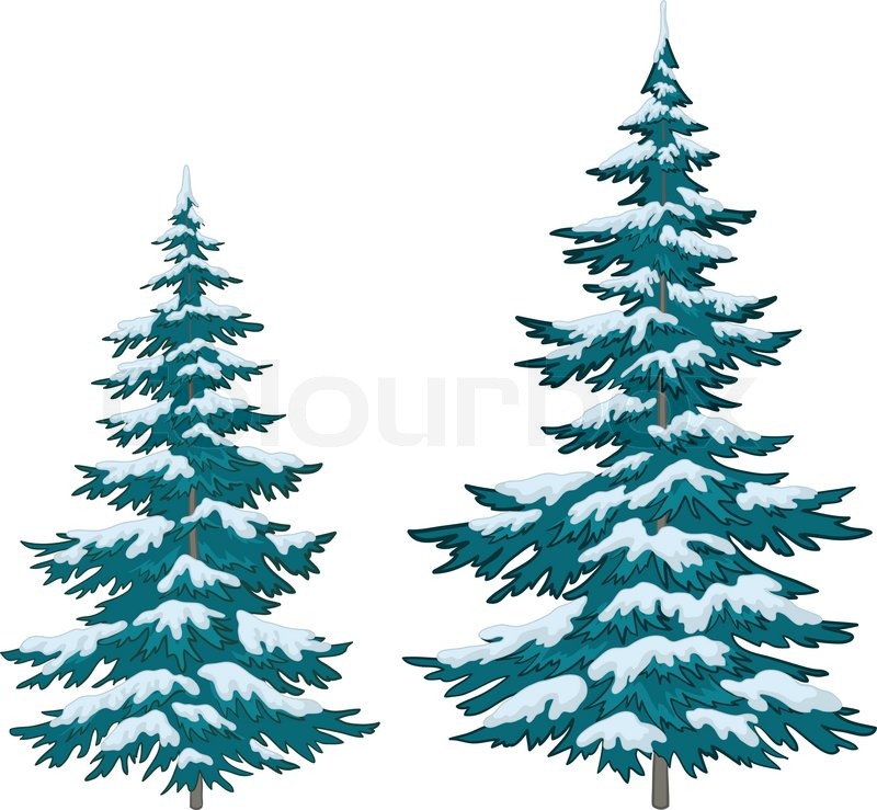 800x739 Vector, Christmas Trees Under Snow On A White Background Stock - Snow Tree Sketch