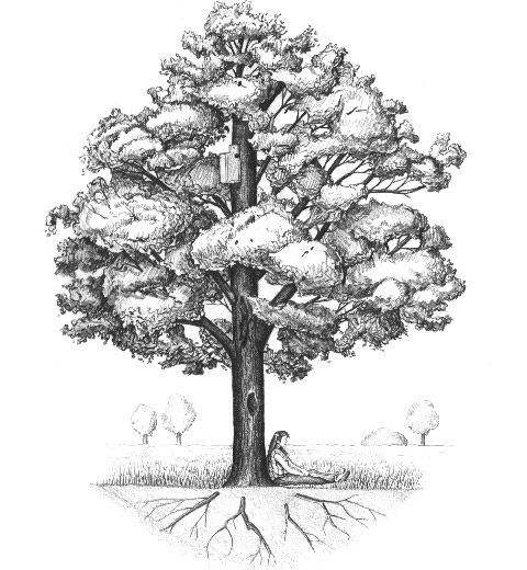 480x520 Drawings Of Trees In Snow - Snow Tree Sketch