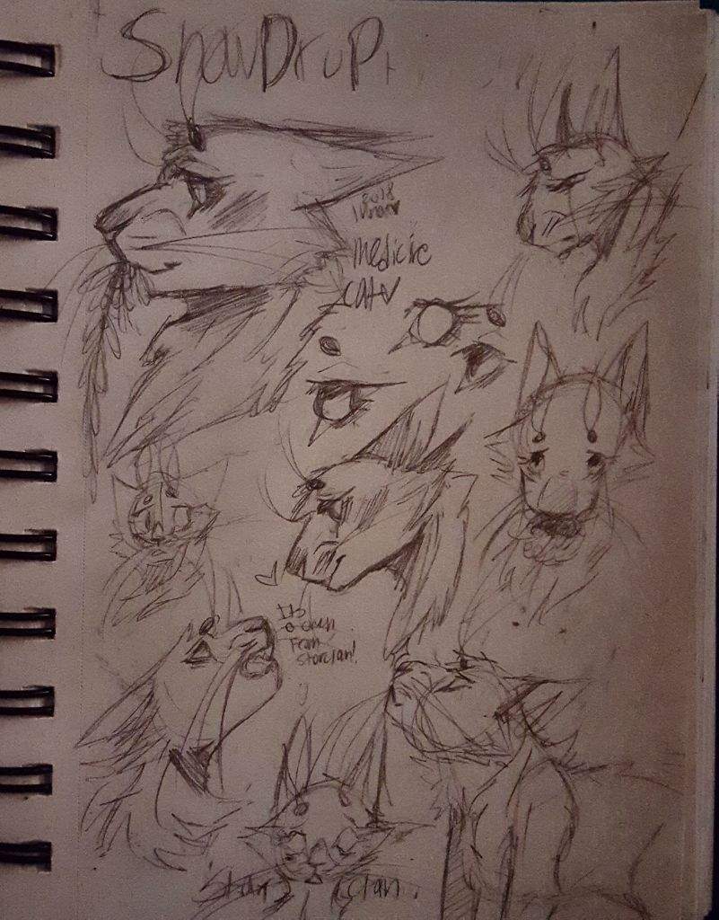 801x1024 Snowdrop Sketch - Snowdrop Sketch