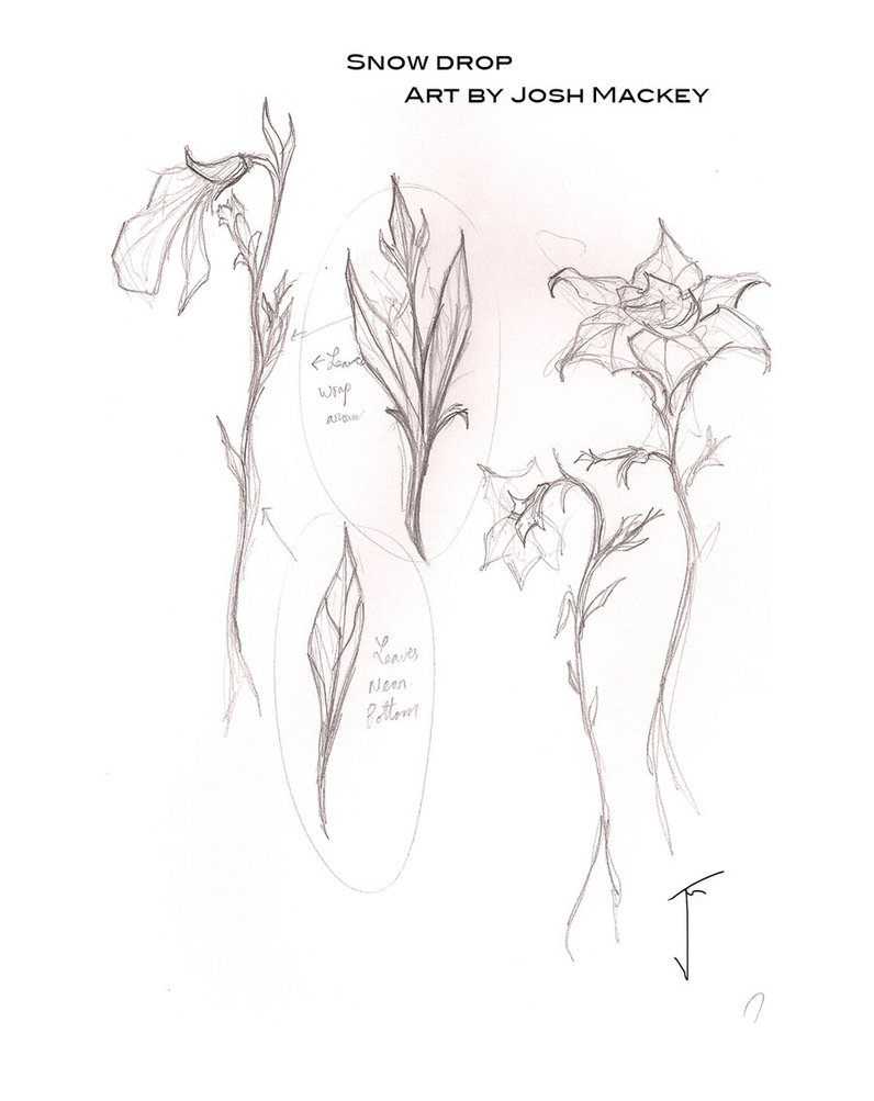 796x1003 Snowdrop Sketch 2013 By Joshmackey - Snowdrop Sketch