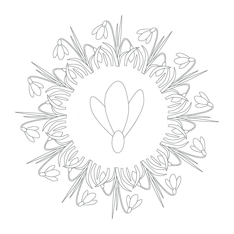 800x800 Spring Snowdrop Google Coloring Pages Yoloer.co - Snowdrop Sketch