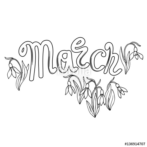 500x500 Vector White Black Contour Sketch Of Snowdrop Flowers With Word - Snowdrop Sketch