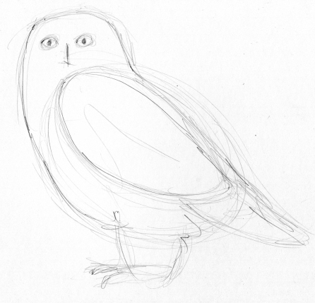 446x429 Snowy Owl Sculpture, Part 1 Making The Pattern Ultimate Paper - Snowy Owl Sketch