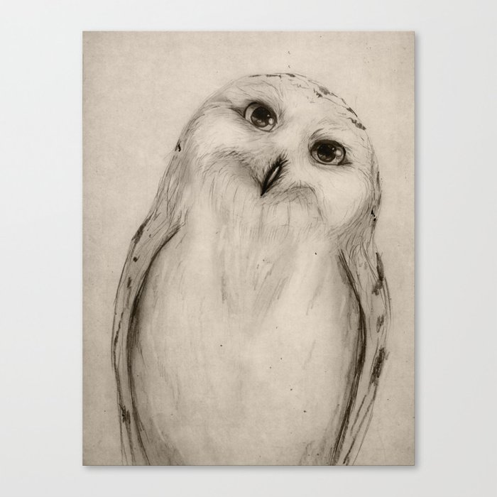 700x700 Snowy Owl Sketch Canvas Print By Isaiahstephens Society6 - Snowy Owl Sketch