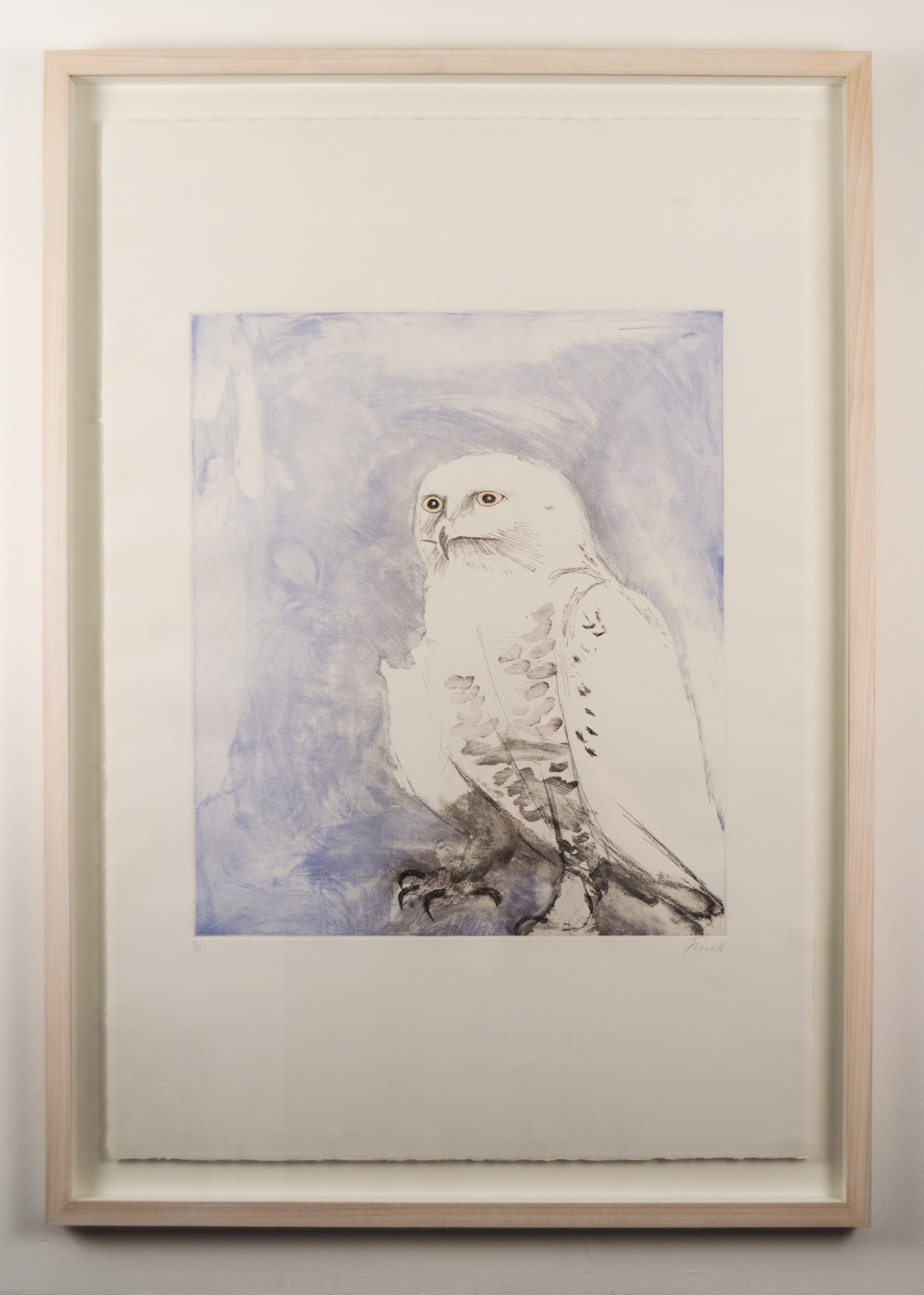 1428x2000 Snowy Owl 8 Holland Street - Snowy Owl Sketch